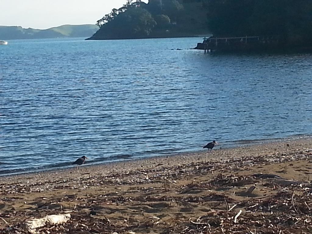 奥马鲁湾假日公园 Coromandel 外观 照片